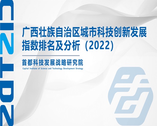 国产男操女网站【成果发布】广西壮族自治区城市科技创新发展指数排名及分析（2022）